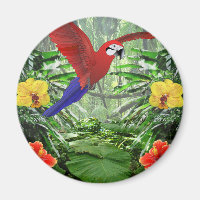Tropical Rain Forest