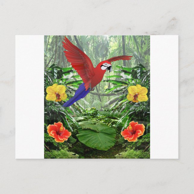 Tropical Rain Forest Postcard (Front)