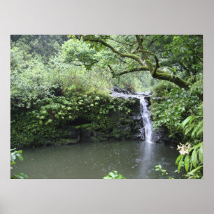 Tropical Rain Forest Waterfall Poster