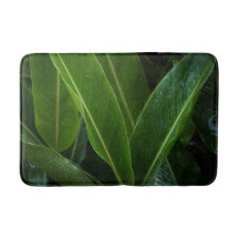 Tropical rain on green leaves, nature inspired