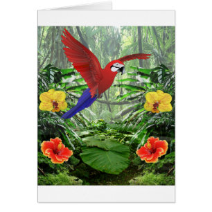 Tropical Rainforest