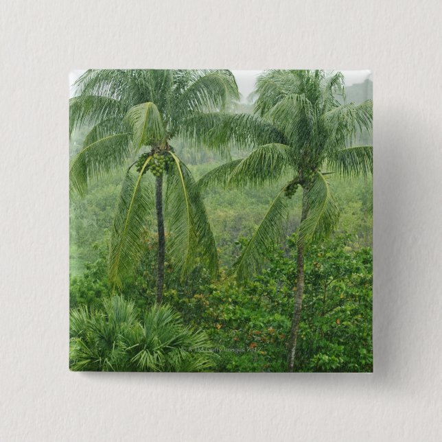 Tropical rainforest 2 inch square button (Front)