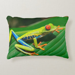 Tropical rainforest green red-eyed tree Frog Accent Pillow