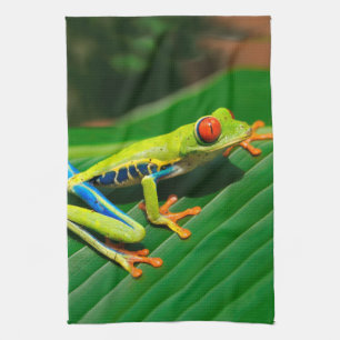 Tropical rainforest green red-eyed tree Frog Kitchen Towel