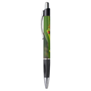 Tropical rainforest green red-eyed tree Frog Pen