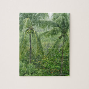 Tropical rainforest jigsaw puzzle