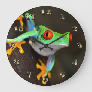 Tropical Red Eye Frog - Agalychnis Callidryas Large Clock