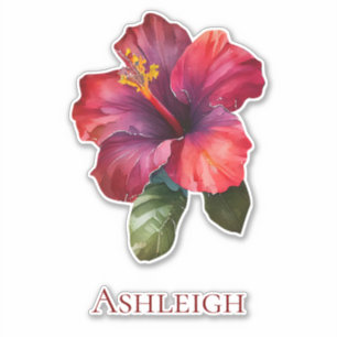 Tropical Red Hibiscus Flower