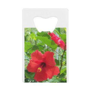 Tropical red hibiscus flower credit card bottle opener