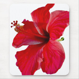 Tropical Red Hibiscus Flower Mouse Pad