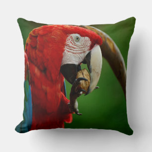 Tropical Red Parrot Throw Pillow