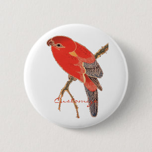 Tropical Red Parrot Thunder_Cove 2 Inch Round Button