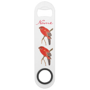 Tropical Red Parrot Thunder_Cove Bar Key