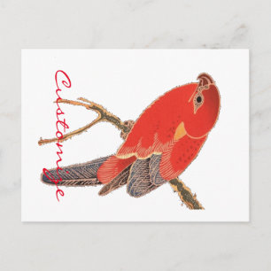 Tropical Red Parrot Thunder_Cove Postcard