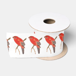 Tropical Red Parrot Thunder_Cove Satin Ribbon