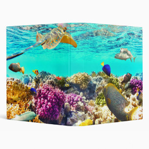 Tropical reef binder