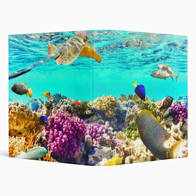 Tropical reef binder (Background)
