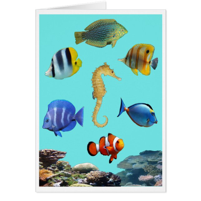 Tropical Reef Card (Front)