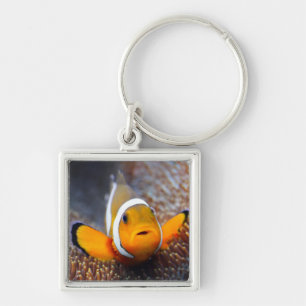 Tropical reef fish - Clownfish Keychain