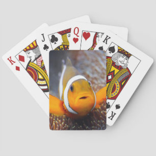 Tropical reef fish - Clownfish Playing Cards
