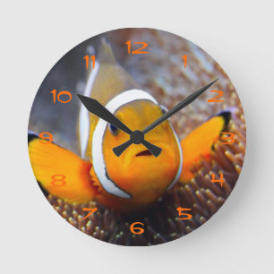 Tropical reef fish - Clownfish Round Clock