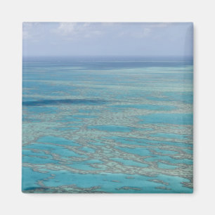 Tropical reef, Great Barrier Reef, Queensland, Magnet