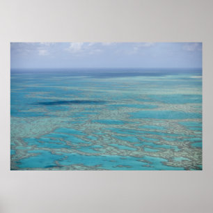 Tropical reef, Great Barrier Reef, Queensland, Poster