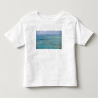 Tropical reef, Great Barrier Reef, Queensland,