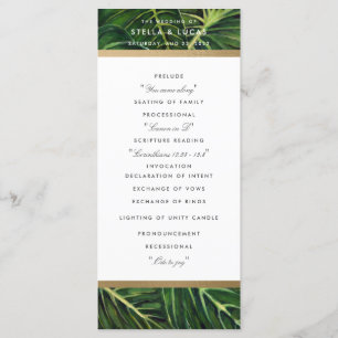 Tropical Romance II Program