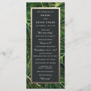 Tropical Romance / Program