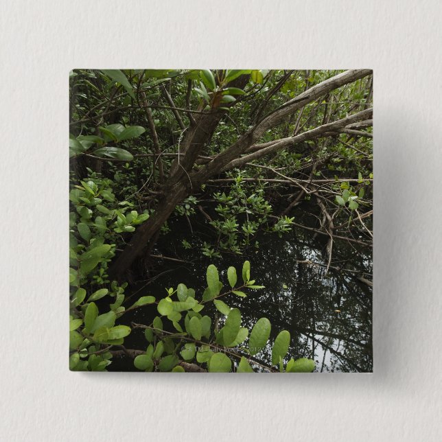 Tropical salt pond 2 inch square button (Front)