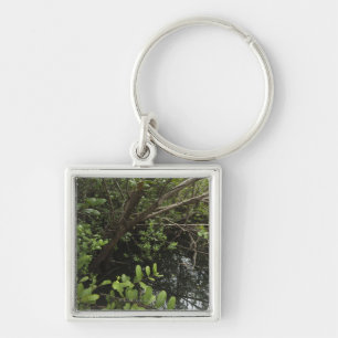 Tropical salt pond keychain