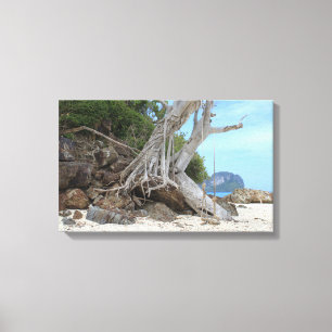 Tropical sandy beach canvas print
