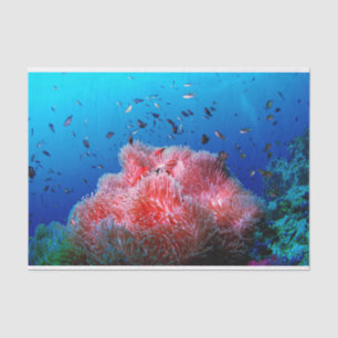 Tropical Sea Life Pink Glowing Anemone Coral Tissue Paper
