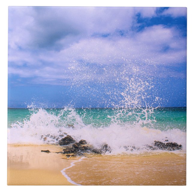 Tropical Sea Wave Splash Tile (Front)