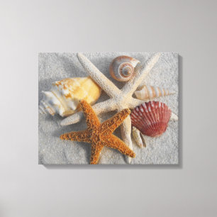 Tropical Seashell/Starfish White Sand Photo Canvas Print