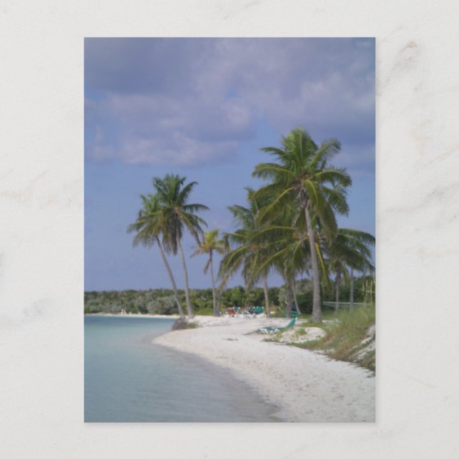 Tropical Settings Postcard (Front)