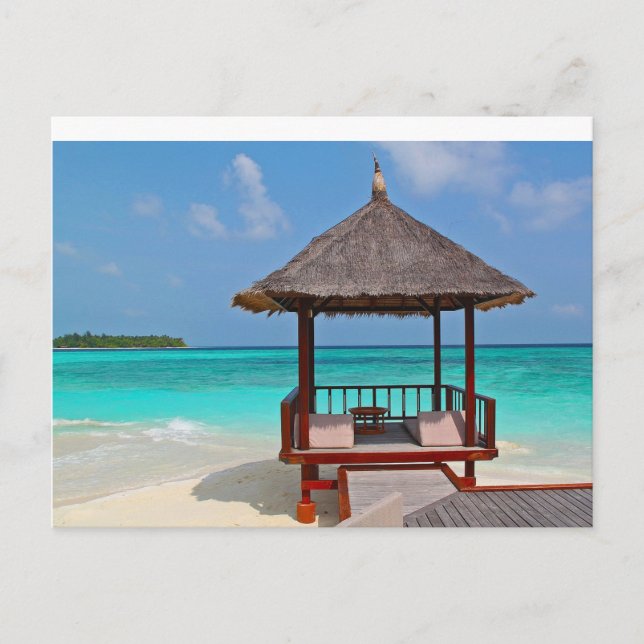 Tropical Shelter Postcard (Front)