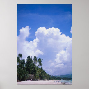 Tropical shoreline poster