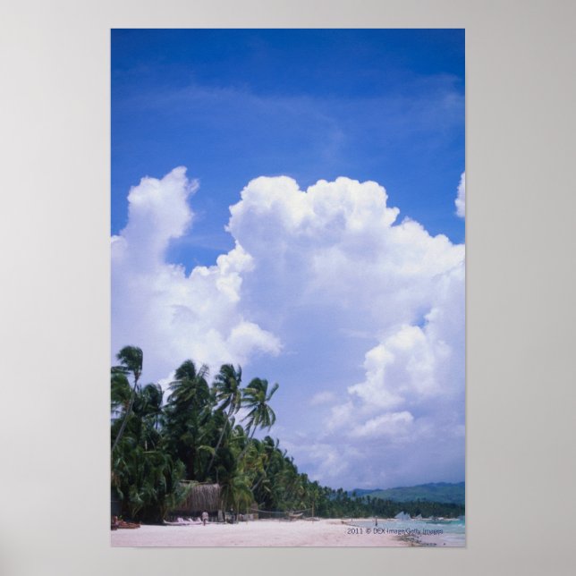 Tropical shoreline poster (Front)