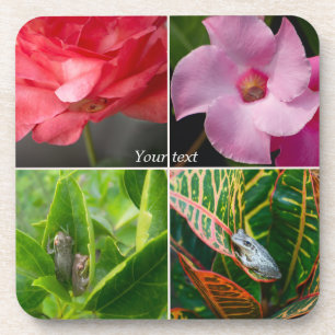 Tropical small tree frogs in flowers and leaves coaster