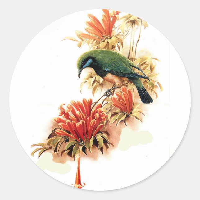 Tropical Splendour Classic Round Sticker (Front)
