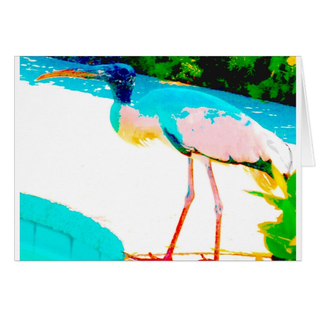 Tropical stork graphic theme (Front Horizontal)
