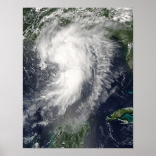 Tropical Storm Cindy Poster