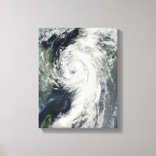 Tropical Storm Dianmu Canvas Print (Front)