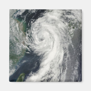 Tropical Storm Dianmu Magnet