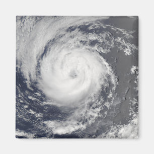 Tropical Storm Guillermo Magnet