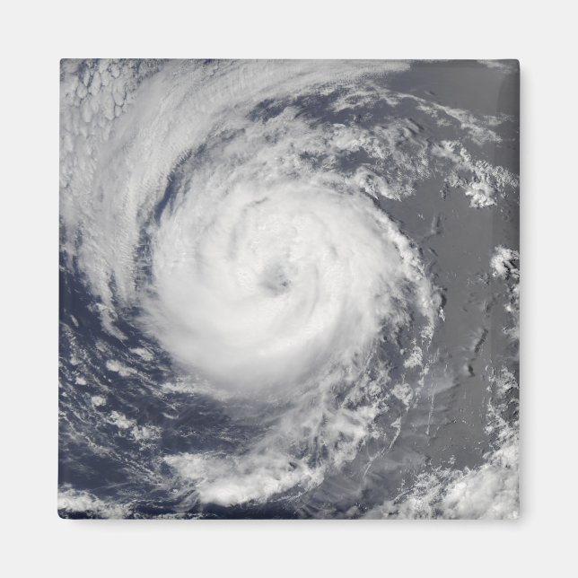 Tropical Storm Guillermo Magnet (Front)