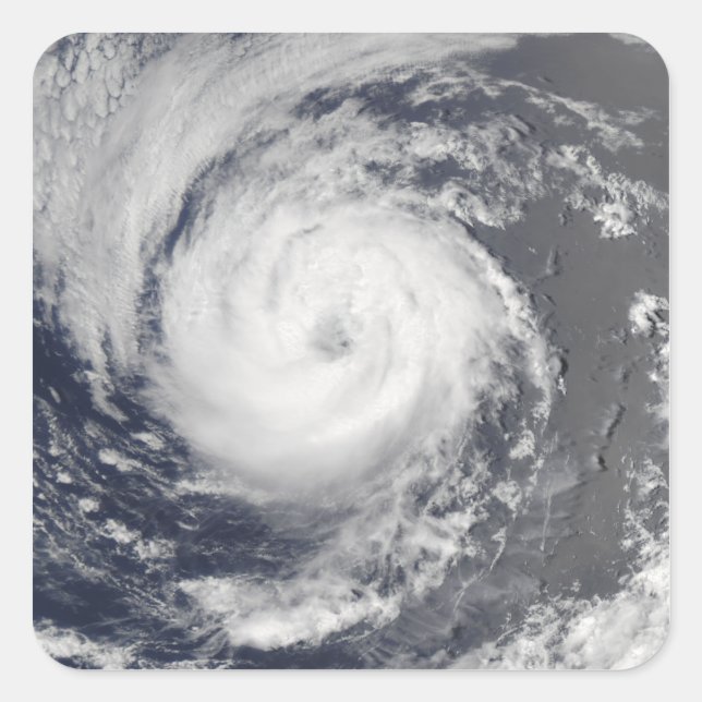 Tropical Storm Guillermo Square Sticker (Front)