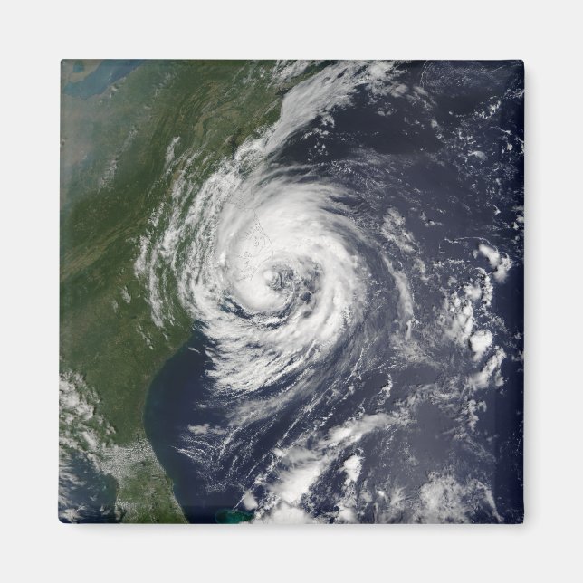 Tropical Storm Gustav Magnet (Front)